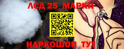 индика Бийск