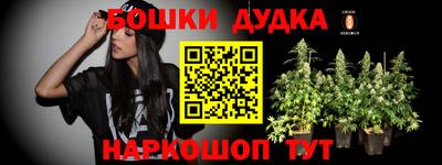 шишки Берёзовский