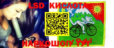 индика Бийск