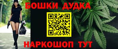 индика Бийск