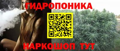 шишки Берёзовский