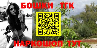 индика Бийск